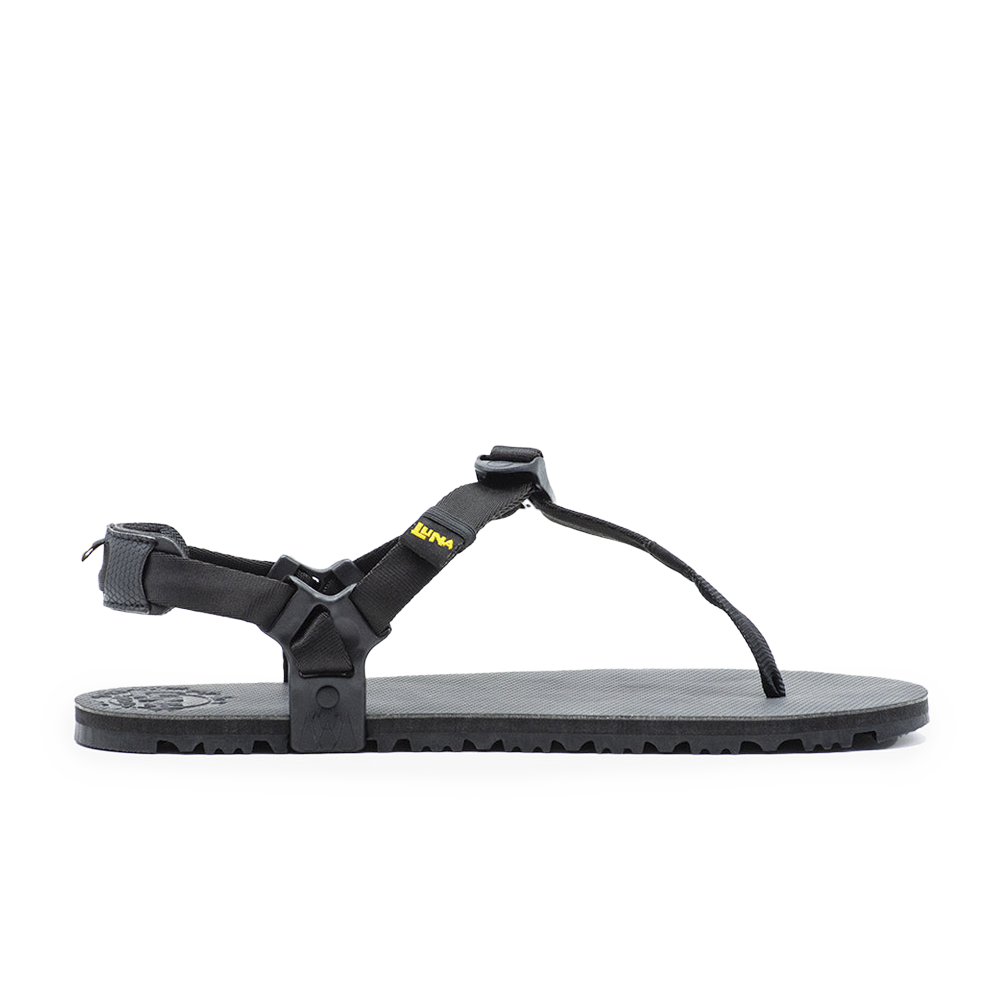 Oso Flaco Winged Edition Sandals