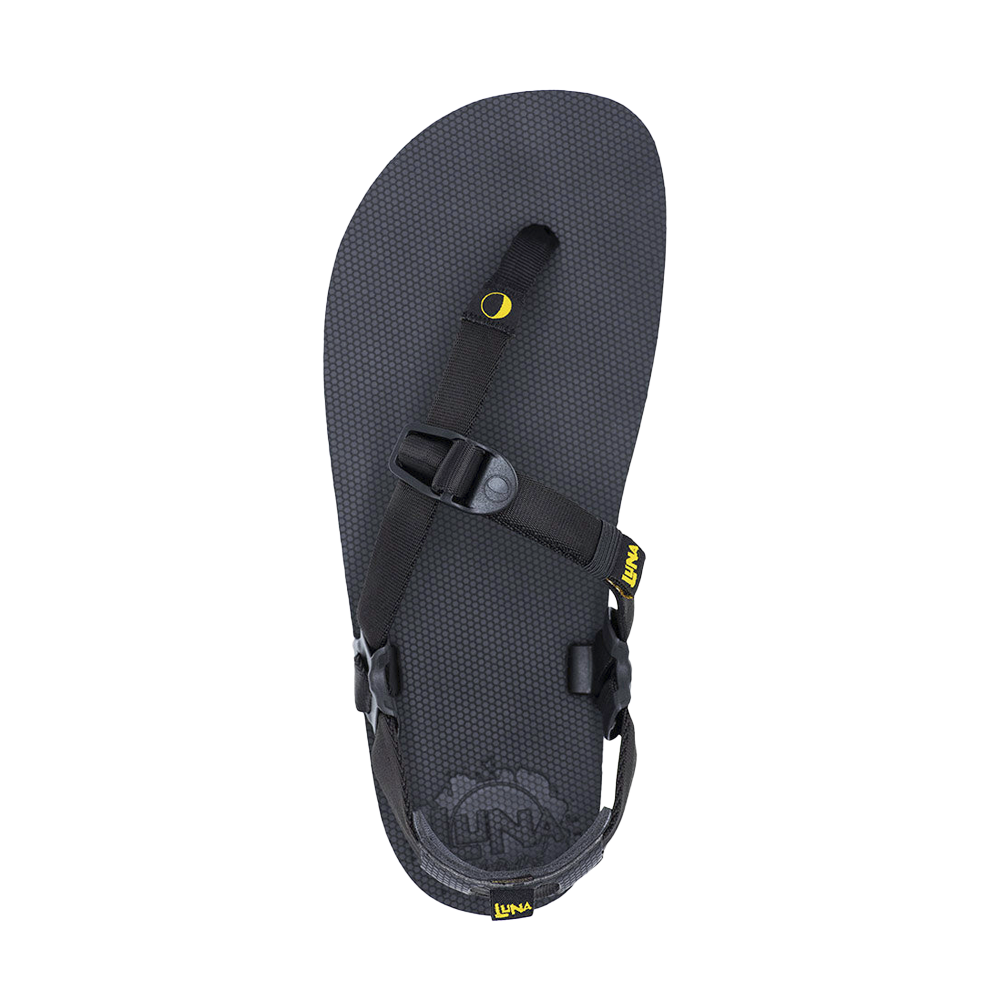 Oso Flaco Winged Edition Sandals